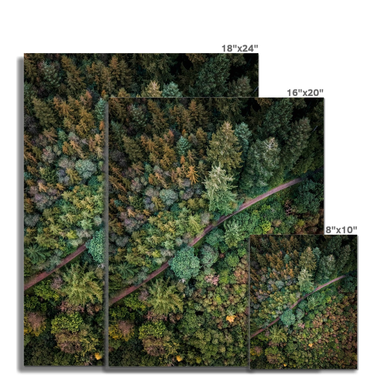 cardinham woods picture sizes