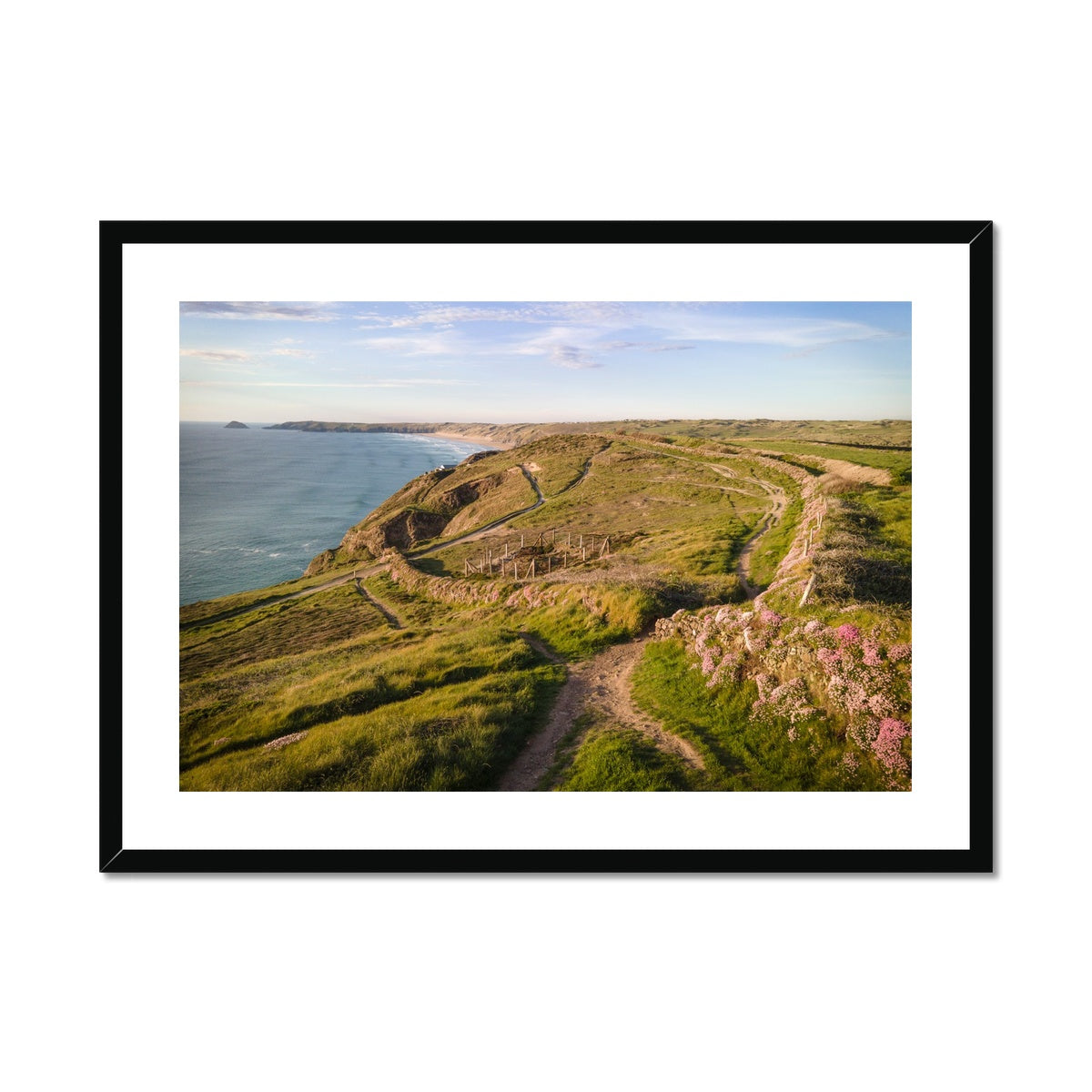 droskyn sea pinks framed print