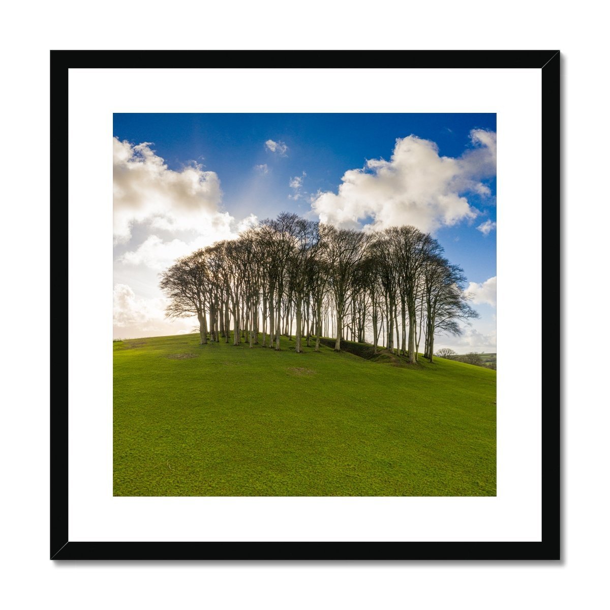 nearly home trees framed print